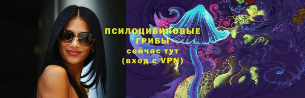 гидра Алзамай