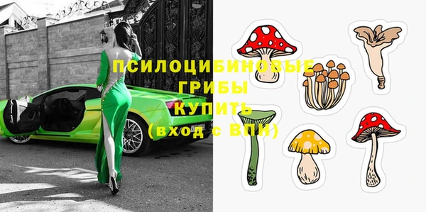 таблы Алексин